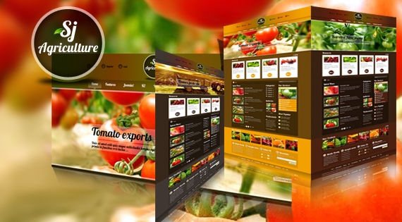 Thiết kế website bán hàng chuyên nghiệp2